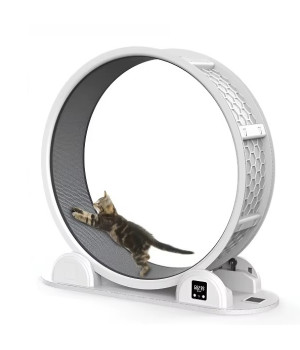 Бігове колесо для котів CutePet R04 XL з одометром для середніх та великих порід кішок Колір Білий