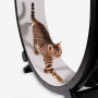 Бігове колесо для котів CutePet R01 XXL  для середніх та великих порід кішок Колір Чорний